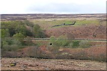 SE8498 : Sheep bield on Goathland Moor by Russel Wills