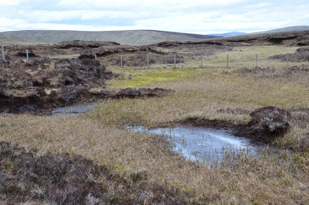 Peat bog by Loch Skene (2) © Jim Barton cc-by-sa/2.0 :: Geograph ...