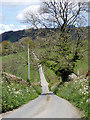 The lane to Trefynys