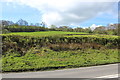 Hillside next to A40 near Llwyn Piod