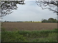 TM1463 : Ploughed field near Mickfield Meadow by Chris Holifield