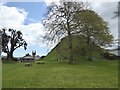 Totnes Castle and the keep mound