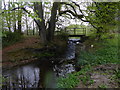 Footbridge over the weir