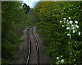 West along the Ivanhoe Line