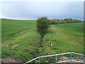 Stream south of Bradfield