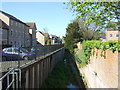 River Linnet, Bury St.Edmunds 