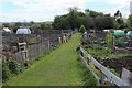 Allotments off Leeds Road in Tadcaster