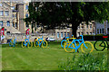 Tour de Yorkshire Decorations, Tadcaster