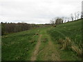 Footpath towards Hindley Wrae