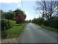 Main road through Little Welnetham 