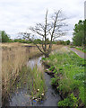 Remains of St Helens Canal at Ravenhead Greenway