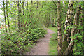 Path on the burghies (sand lodge)