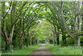 Southmeads Road in Oadby