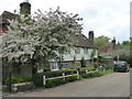 Cottages overlooking the village green at Wisborough Green