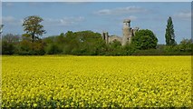 SO8842 : Oilseed rape and Dunstall Castle by Philip Halling