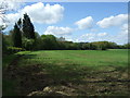 Crop field and woodland near Castle Farm