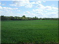 Crop field off Highlands Road