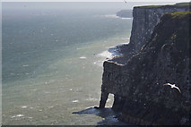TA2073 : Bempton Cliffs by Mick Garratt