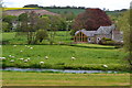 House in the meadow