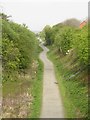 Cycle route in former railway cutting, West Allotment