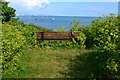 Seat with a harbour view