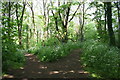 Junction of footpaths, Nightingale Valley