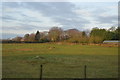 Farmland, Driffield