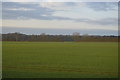 TA0255 : Holderness farmland by N Chadwick