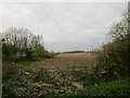 Field by a stream off Helmdon Road