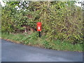 Elizabeth II postbox on Colchester Road, Far Thorpe Green