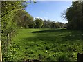 Field Surrounded by Woodland