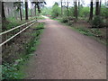 SU1305 : Track in Watchmoor Wood by Chris Wimbush