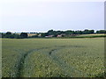 Houses at Springhead Farm