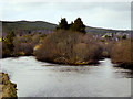 NH9419 : River Spey, Downstream from Garten Bridge by David Dixon