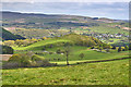 Uplands viewed from Brynafan