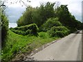 Winterborne Zelston, bridleway junction