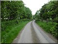 Winterborne Zelston, farm road