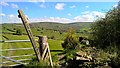 Pointing the way behind Briargrove Farm