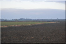 TA0247 : Holderness farmland by N Chadwick