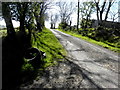 Shadows along Fallagh Road