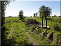 Short lane, Aghnamirigan