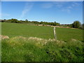 Grass verge, Aghnamirigan