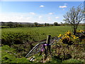 An open field, Lenagh