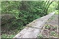 Overgrown old platforms