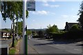 Bus stop on Stapleford Lane