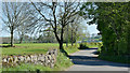 Stone bridge, Ballylinney near Ballyclare (May 2017)