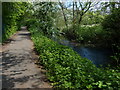 The Ivanhoe Trail and Rothley Brook