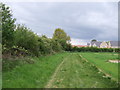 Footpath on the edge of Great Bentley