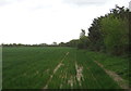 Footpath (beside the hedgerow), Chiltern Farm