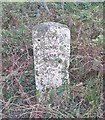 Old Milestone by the A487, Gwenlli, Ceredigion